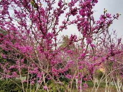 -杭州城北体育公园