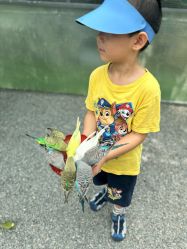 点击看大图 -萌宠亲子动物乐园(槐房万达店)