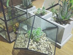 -柴务处·柴犬主题狗咖