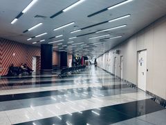 -谢列梅捷沃国际机场