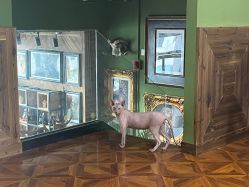 -雲艺刺青·洗纹身