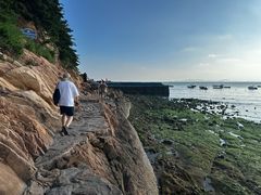 -小麦岛公园
