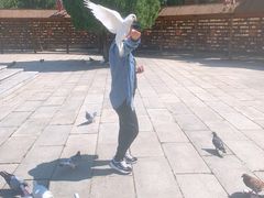 -龙口南山旅游景区