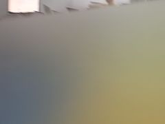 -童程童美少儿编程乐高机器人(红谷滩校区)