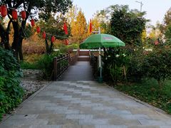 -宾湖农庄·农场特色(太湖龙之梦店)