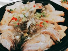 -点都德·毕德寮