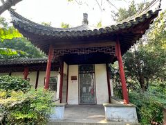 -秋霞圃