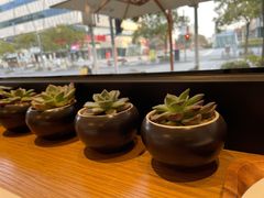 -Peet's Coffee皮爷咖啡(大学路店)