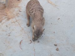 -秦皇岛野生动物园