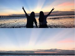 -宝安西湾红树林湿地公园