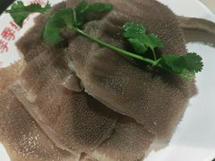 -季季红火锅(动壹店)