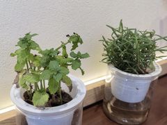 -前进5路汉堡炸鸡(昙华林店)