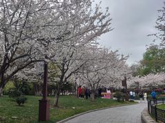-堤角公园