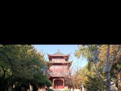 -堤角公园
