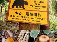 -四川省成都市彭州市白鹿镇