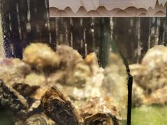 -珍宝轩海鲜火锅(碧湖大厦店)