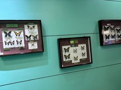 -上海昆虫博物馆