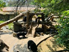 -北京野生动物园