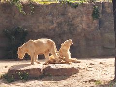 -北京野生动物园