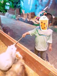 -酷嗒动物文化乐园(cutezoo西溪乐天城店)