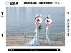 点击看大图 -果石摄影(汉街skp店)