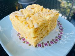 沙琪玛-悦湖公馆