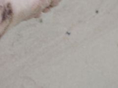 -西涌国际滨海旅游区