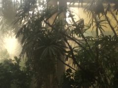-仁爱团泊湖温泉中心