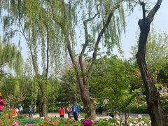 -太阳宫公园