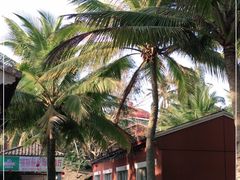 -福顺顺发海鲜餐厅