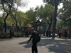 -文瀛公园