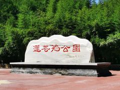 -莲花池公园