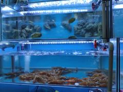 -钱塘府海鲜餐厅