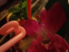 -The Tiki Bungalow提基小木屋酒吧