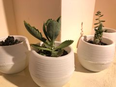 -八婆婆烧仙草(中山路店)