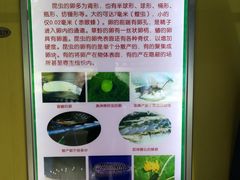 -上海昆虫博物馆