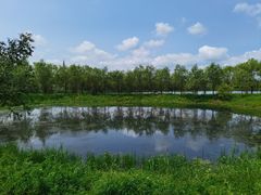 -长春北湖公园