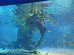 -常州海昌海洋探索馆
