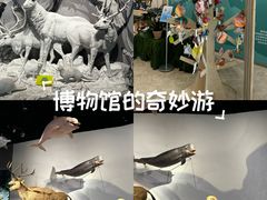 -中国湿地博物馆
