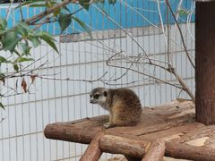 -石家庄市动物园