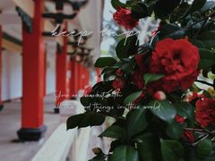 -龙舟池