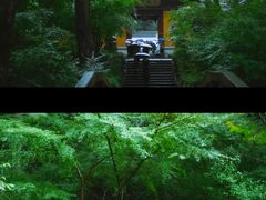 -红花湖景区