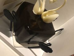 -BLACKSWAN黑天鹅(环球店)