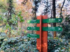 -杭州半山国家森林公园