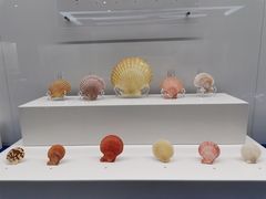 -贝壳王国博物馆