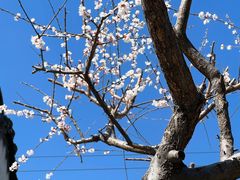 -碑林公园