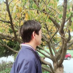 -红人馆造型十添