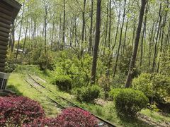 -合肥滨湖国家森林公园