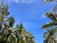 -三亚南山文化旅游区