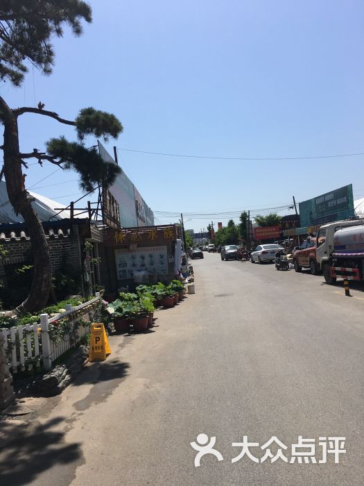 雁锦花卉市场图片